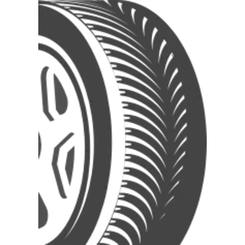 Bridgestone Blizzak WS80