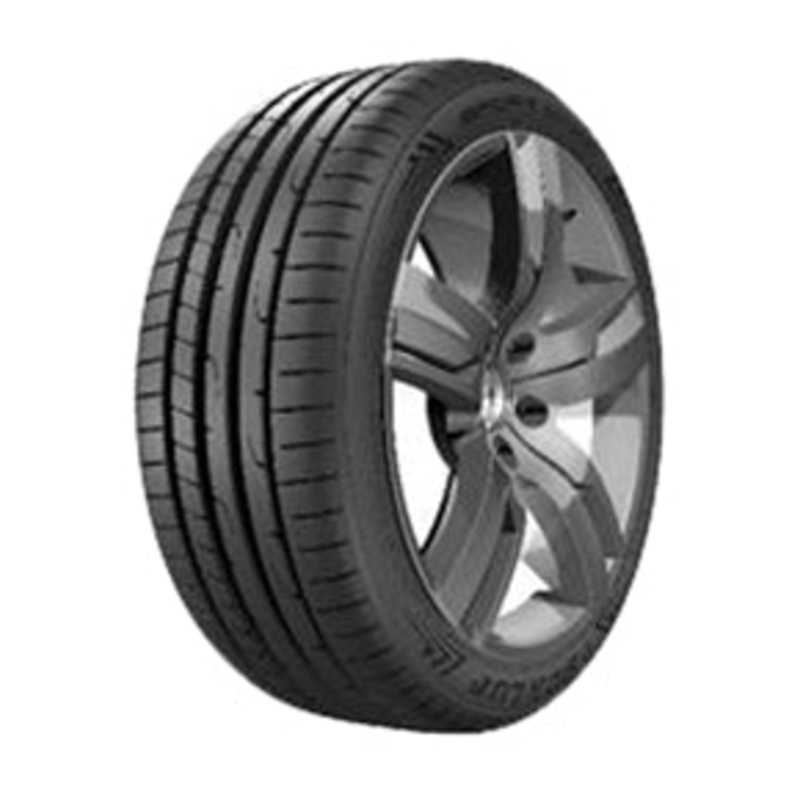 Dunlop Sport Maxx RT2