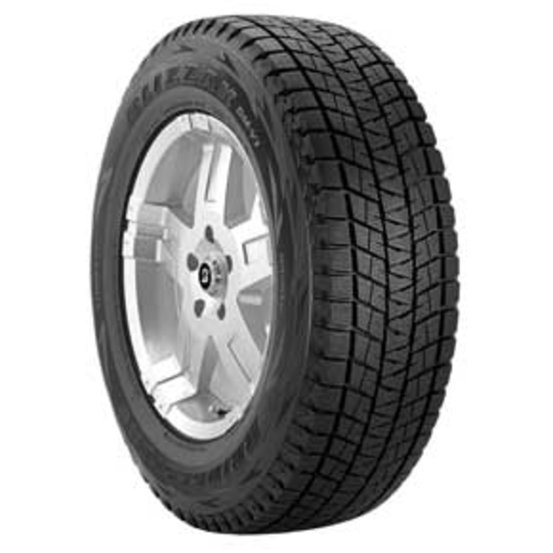 Bridgestone Blizzak DM-V1