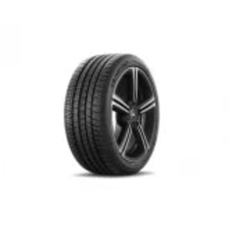 Michelin Pilot Sport A/S 4 315/30 R21