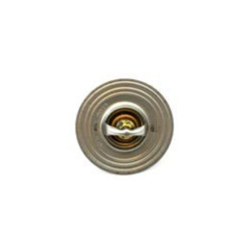 New 251 Thermostat – CC1552902